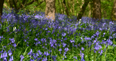 Cheminer avec Théovie 