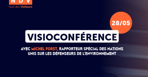 Visioconférence sur les défenseurs de l’environnement avec Michel Forst